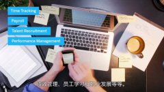 就业市场数据分析与报告